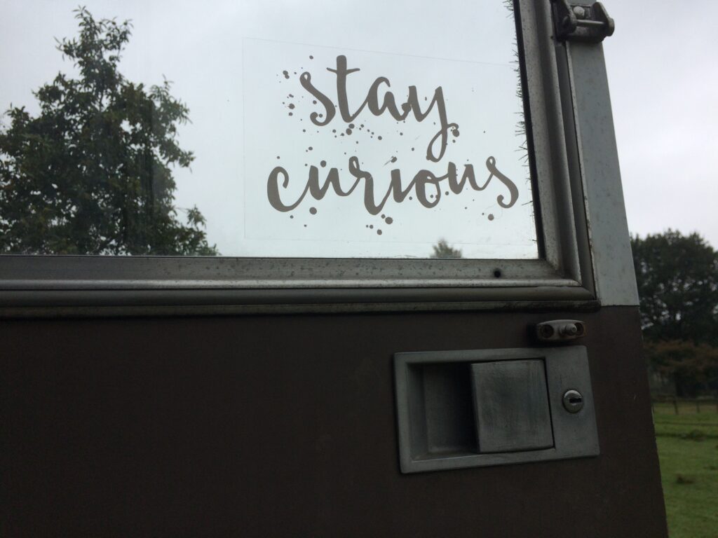 Raamsticker Stay Curious