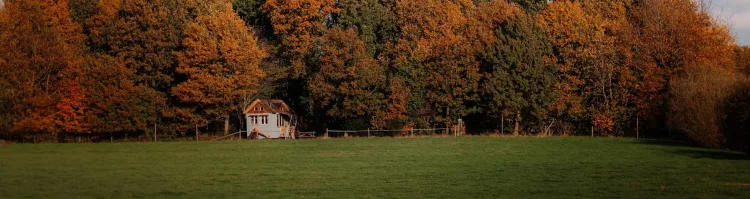 tiny house aan bosrand