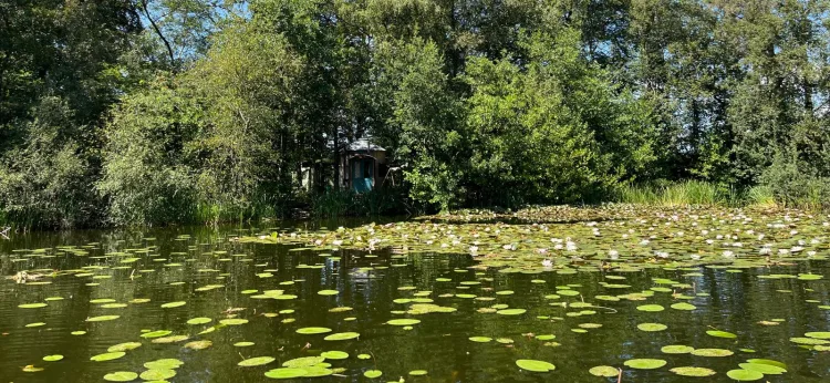 meer met waterlellies en huisje tussen de bomen