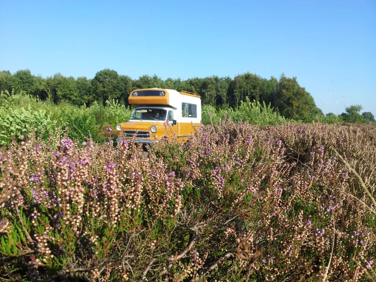 ford transit oldtimer kampeerbus