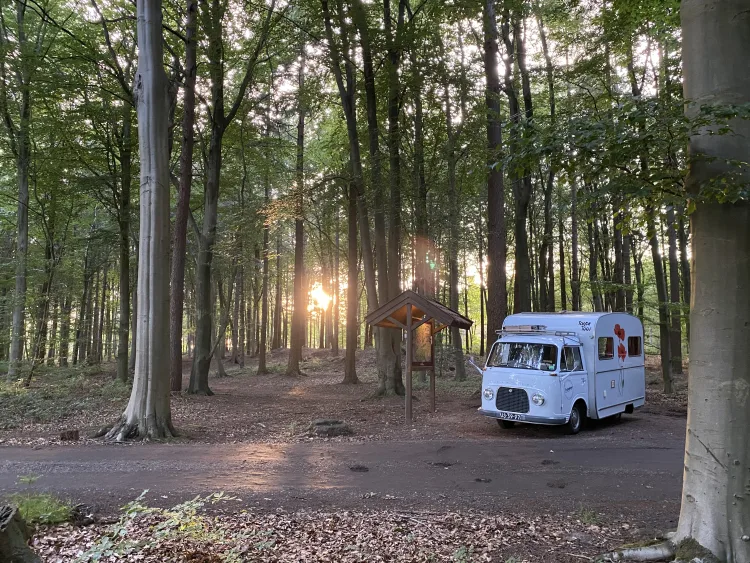 oldtimer ford transit kampeerbusje in het bos